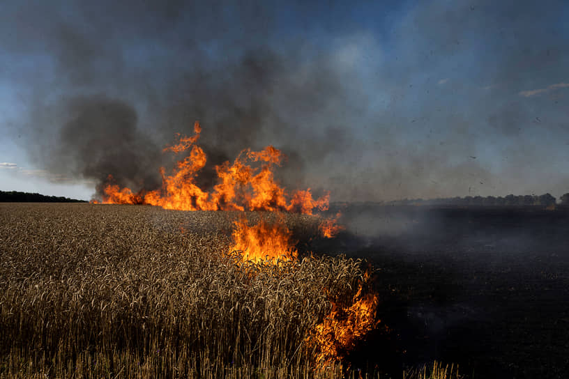 Пожар на пшеничном поле в нескольких километрах от украинско-российской границы в Харьковской области
