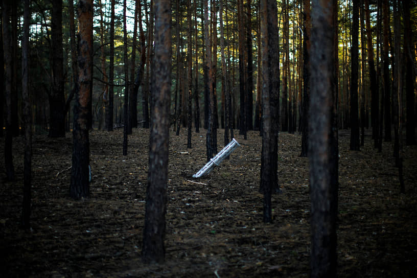 Снаряд в лесу возле села Александровка Херсонской области