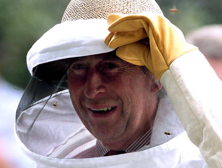 &lt;b>Король Великобритании Карл III&lt;/b> — заядлый пчеловод. В саду его резиденции Кларенс-Хаус расположено два улья, в которых живут более 90 тыс. пчел. Еще три улья были подарены ему на 70-летие и находятся в садах Глостершира. Его жена, герцогиня Корнуолльская Камилла, стала президентом благотворительной организации «Bees for Development», предоставляющей бесплатную информацию и поддержку по пчеловодству