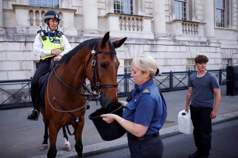 Конь городского патрульного пьет воду из ведра в Лондоне 
