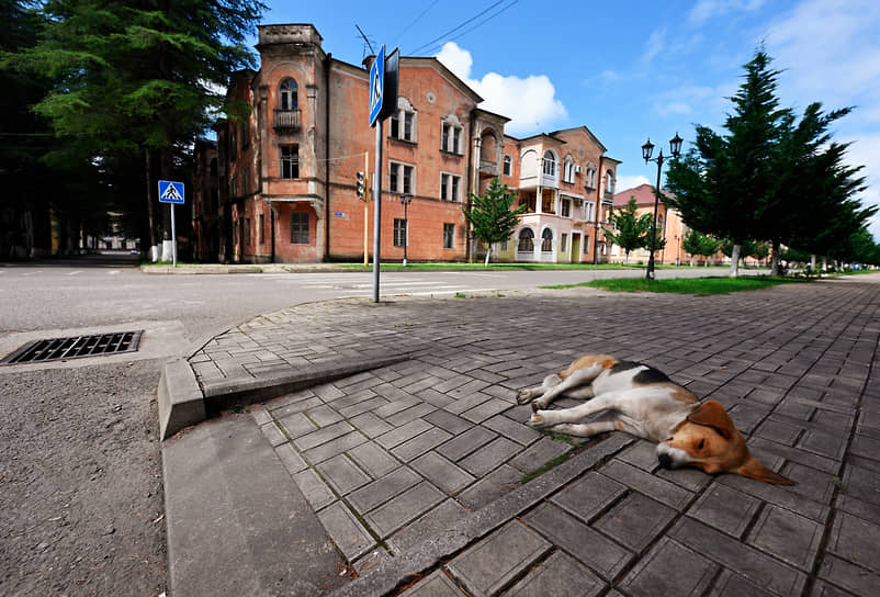 Собака спит на улице города Ткварчели