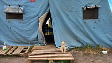 «В Донецке осталась таксочка наша»