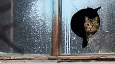 Аварийное жилье: расселение в 2024 году