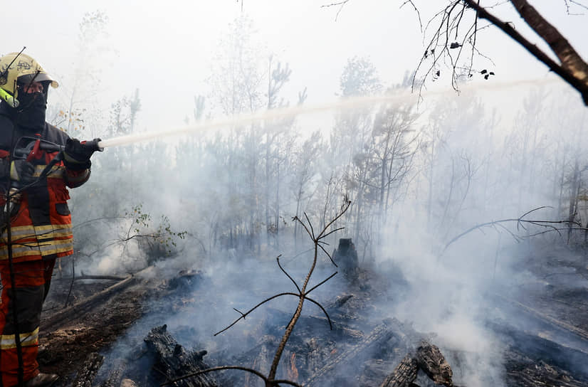 По данным Авиалесоохраны, огонь затронул около 8,6 тыс. га леса, на прошлой неделе врио губернатора Рязанской области Павел Малков сообщал о 6 тыс. га