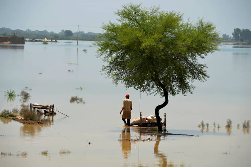 Из-за наводнений в Пакистане с середины июня погибли 1033 человека, еще 1527 получили ранения