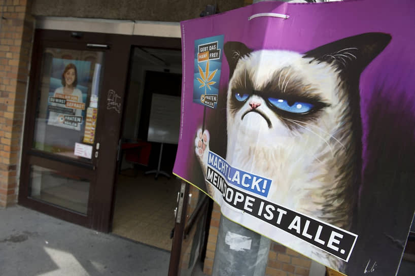 Предвыборный плакат с изображением Grumpy Cat в Берлине 