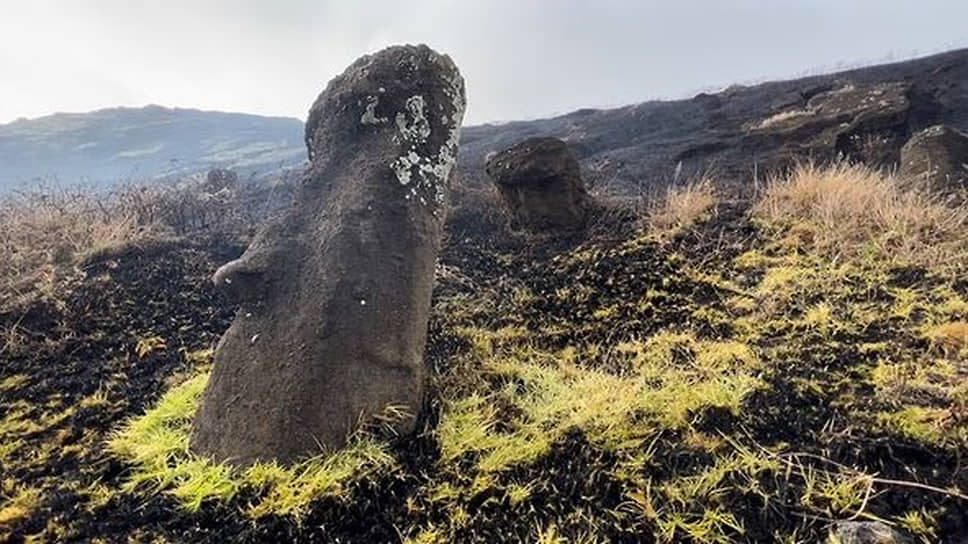 Пострадавшие каменные статуи называются моаи. На острове около 1000 таких истуканов