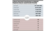 Самые распространенные и редкие родные языки в России