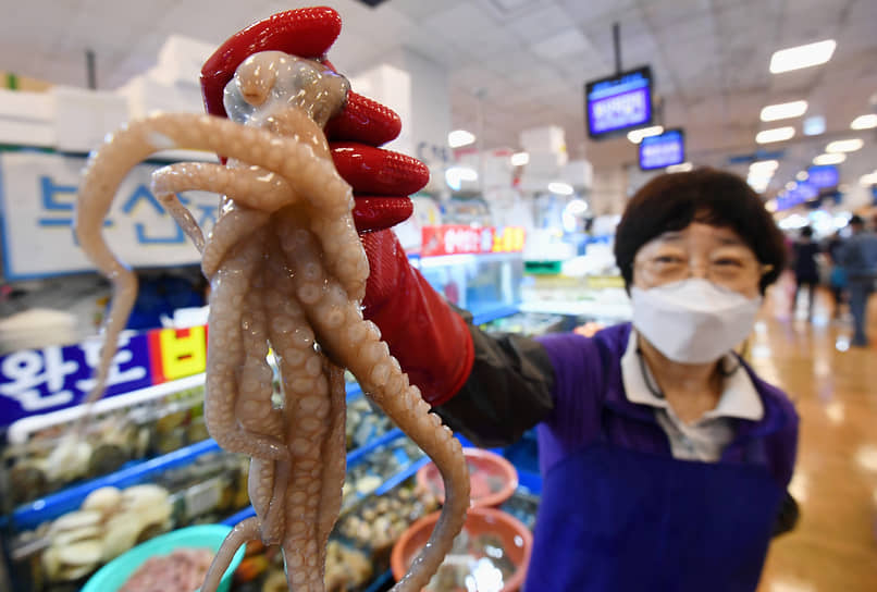 Южная Корея занимает второе место в мире по импорту осьминога. На фото – рыбный рынок в Сеуле