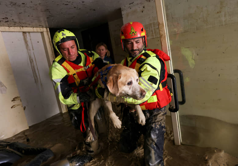 Фаэнца, Италия. Пожарные эвакуируют собаку из затопленного в результате наводнения дома
