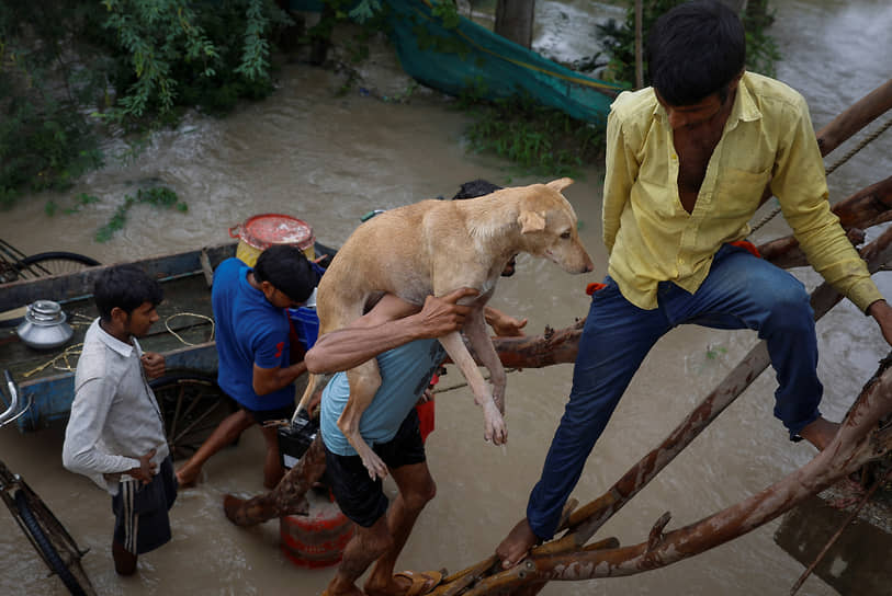 Нью-Дели, Индия. Мужчина с собакой спасается от разлива реки Ямуна, вызванного муссонными дождями