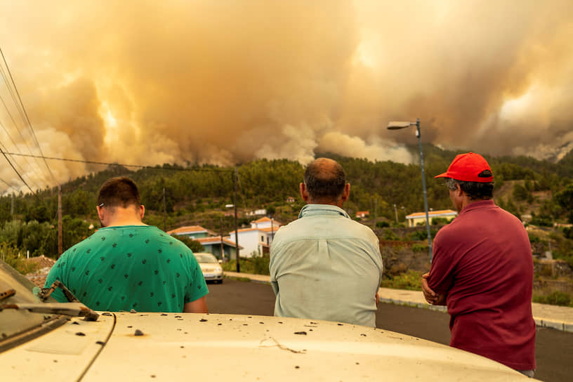 Пальма, Испания. Местные жители наблюдают за лесными пожарами, распространившимися из-за жары и сильного ветра