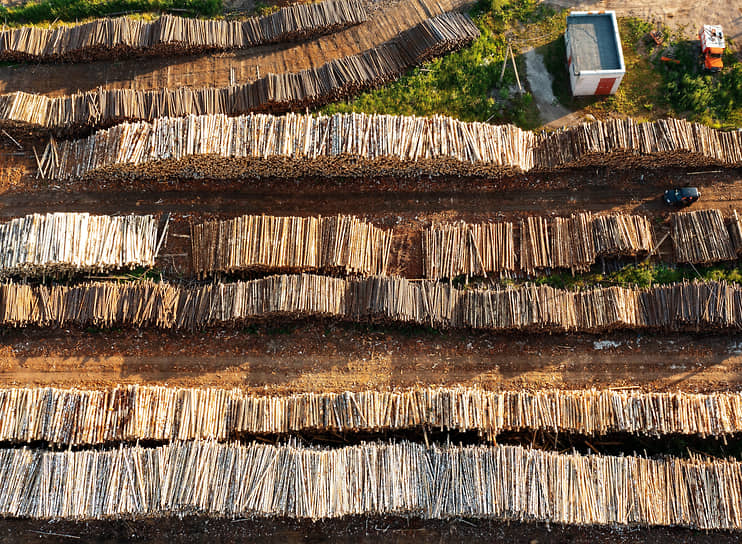 Вологодская область. Заготовка древесины на территории лесопромышленного предприятия