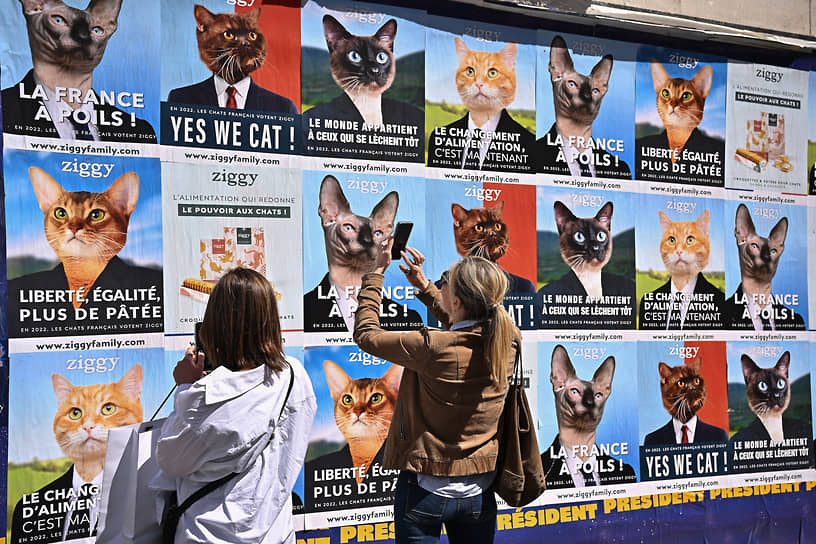 В апреле 2022 года во время президентских  выборов во Франции один из производителей кошачьего корма вывесил плакаты с котами в костюмах и с лозунгами, напоминающими агитацию реальных кандидатов: «Yes we cat!»