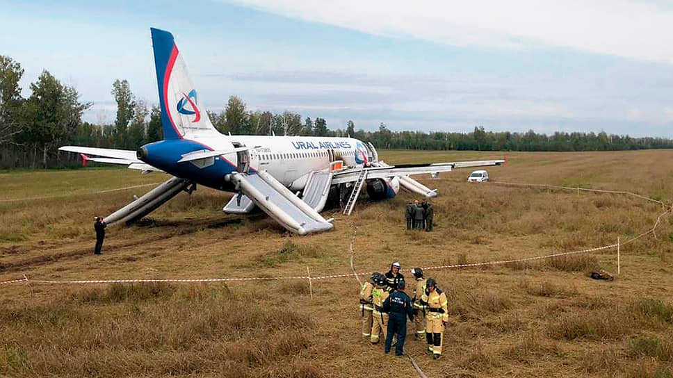 A-320 «Уральских авиалиний» в поле в Новосибирской области
