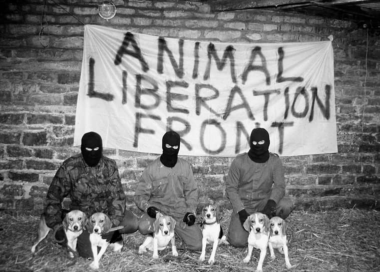 Бойцы «Фронта освобождения животных» с собаками из лондонской лаборатории компании Boots, производителя товаров для красоты и здоровья