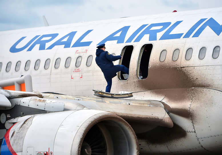 Сотрудник «Уральских авиалиний» после аварийной посадки самолета Airbus A320 в Новосибирской области