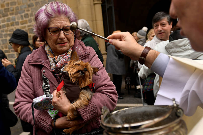 Памплона, Испания. Священник благословляет собаку 