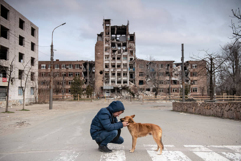 Мариуполь, ДНР. Мужчина с собакой на фоне пострадавших домов