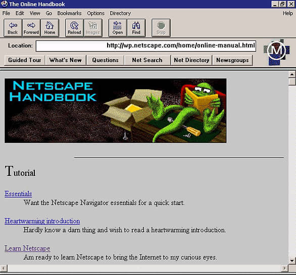 Netscape была одной из первых компаний, связанных с интернетом, которая вышла на фондовый рынок