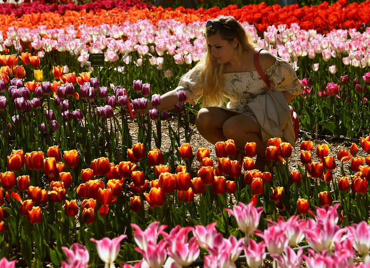 Ялта. Посетители на выставке «Парад тюльпанов» в Никитинском ботаническом саду