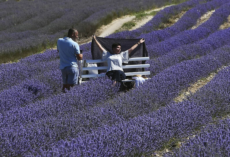 Тургеневка, Крым. Туристы фотографируются в лавандовом поле