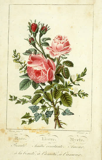 Иллюстрации из книги «Язык цветов» (Le Language des Fleurs) Шарлотты де ла Тур, 1819
