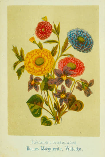 Иллюстрации из книги «Язык цветов» (Le Language des Fleurs) Шарлотты де ла Тур, 1819