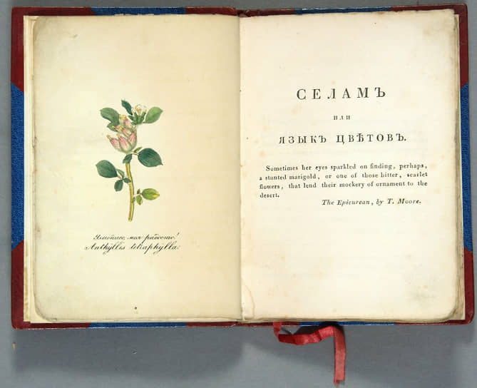 Дмитрий Ознобишин. «Селам, или Язык цветов», 1830