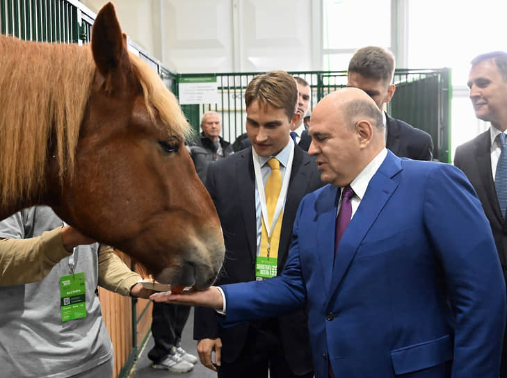 Михаил Мишустин и непарнокопытное
