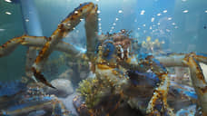 Крабов приготовили для суда