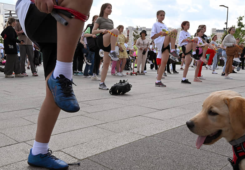Собака — друг человека, в том числе на пути к подвижности и оздоровлению. На фото — День молодежи в парке «Ходынское поле» в Москве