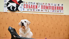 «Это наши добродоры»