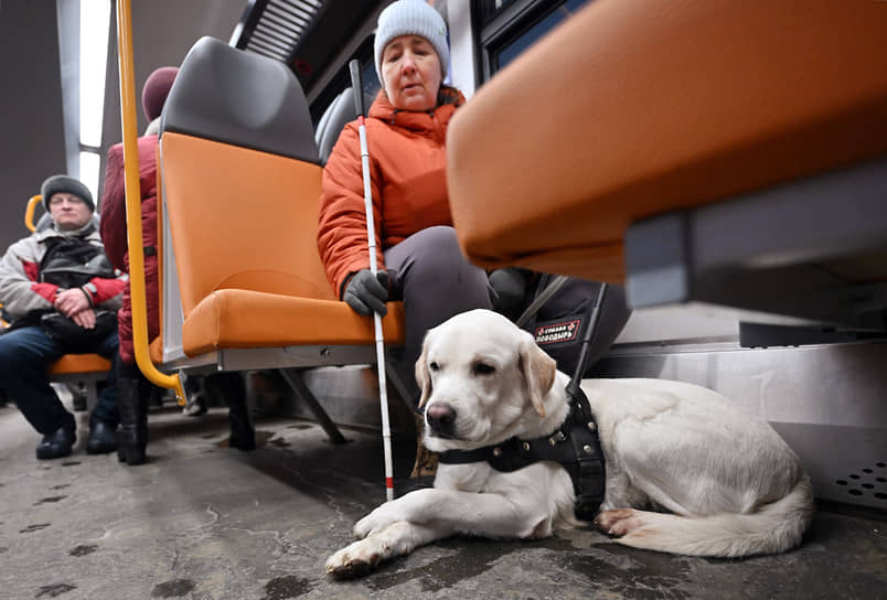 Обучение собак-проводников в Учебно-кинологическом центре «Собаки-помощники»
