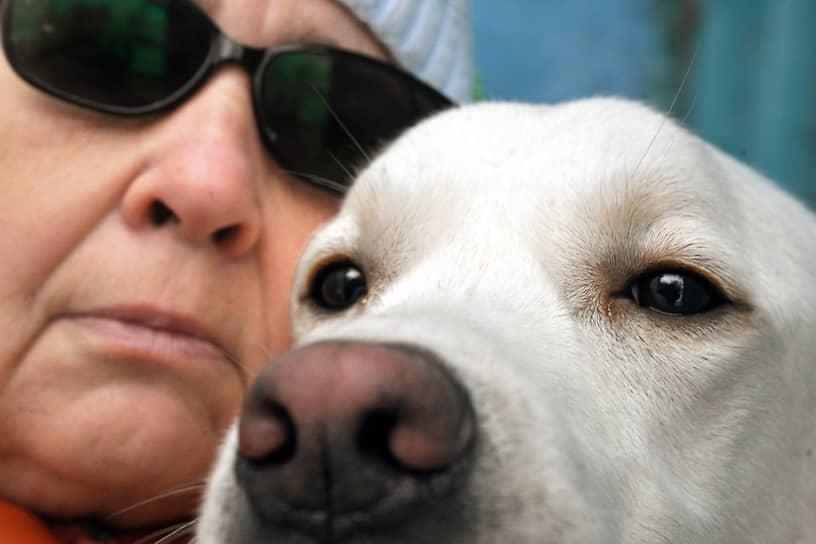 Обучение собак-проводников в Учебно-кинологическом центре «Собаки-помощники»