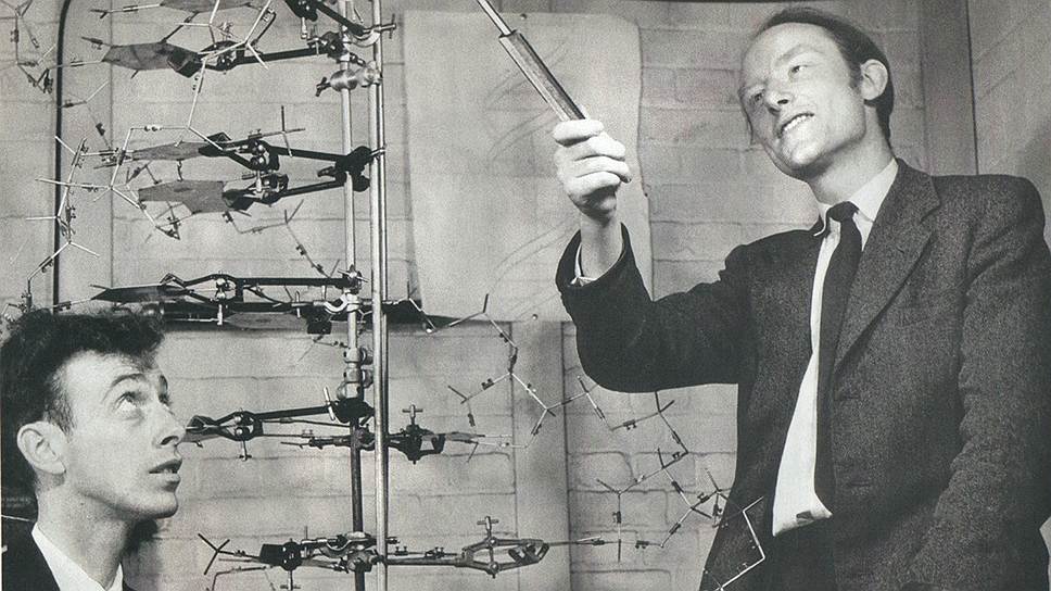 1953 год. Джеймс Уотсон и Френсис Крик предлагают структурную модель ДНК, двойную спираль 