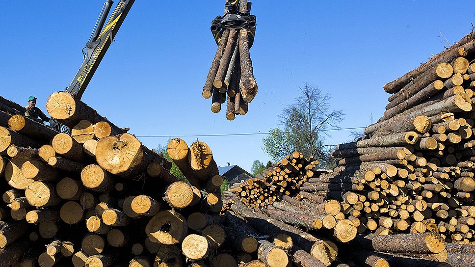 По закону весь российский лес — госсобственность. Но почти всю качественную древесину в Кировской области вырубили еще в 1990-е, когда государству было не до контроля за лесным хозяйством