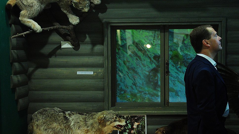 Премьер-министр Дмитрий Медведев пока предпочитает интересам бизнеса гармоничные отношения с окружающей средой