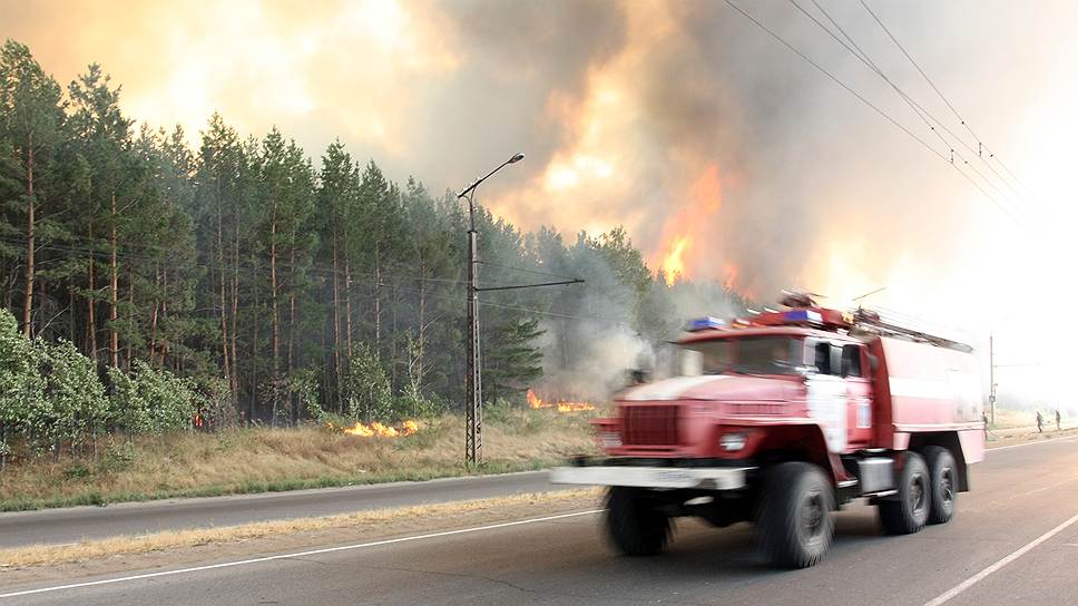 Почему экологи недовольны новыми правилами противопожарного режима