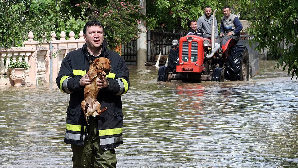 От наводнения на Балканах страдают не только люди 