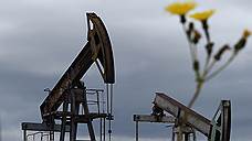 Крупнейшие нефтегазовые компании РФ "зеленеют" на глазах