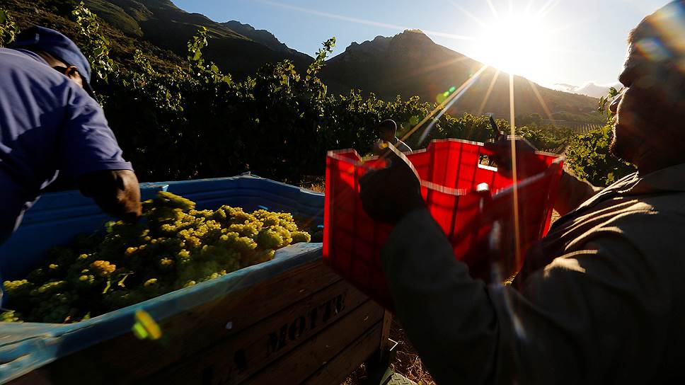 Изъятие сельхозугодий у белых фермеров может подорвать экономику ЮАР