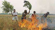 Пожары гонят губернаторов из леса