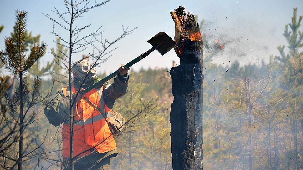 Почему Минприроды критикует региональные власти и военных за неспешность при тушении пожаров