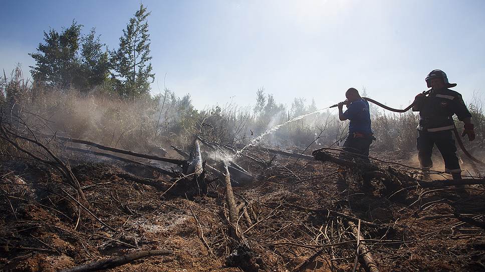Собственников участков, прилегающих к лесу, обяжут создать противопожарный барьер