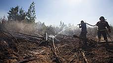 Борьба с лесными пожарами выйдет за опушку