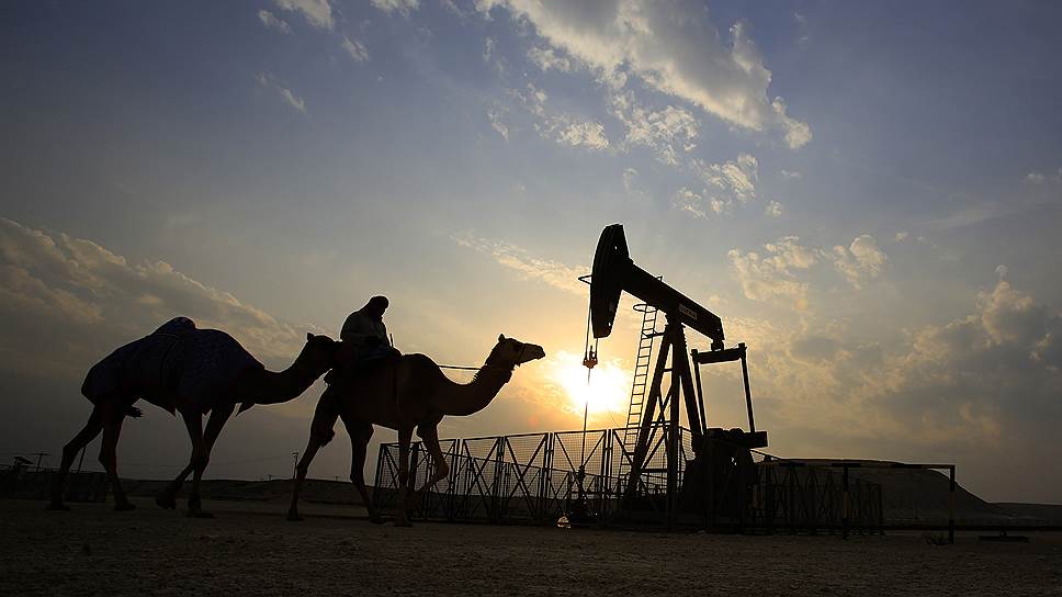 Слов ОПЕК о сокращении добычи нефти рынку хватит на два месяца