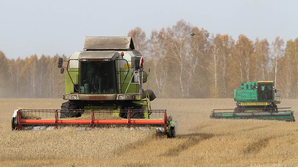 Как экспортная цена российской пшеницы достигла максимума в этом сезоне
