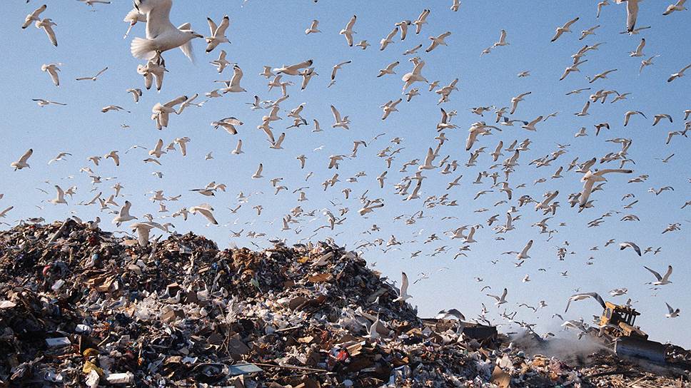 Почему экологи выступили против строительства мусоросжигательных заводов