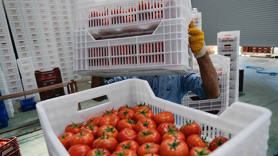 &quot;Ъ&quot; стала известна новая схема закупки запрещенных в России турецких томатов